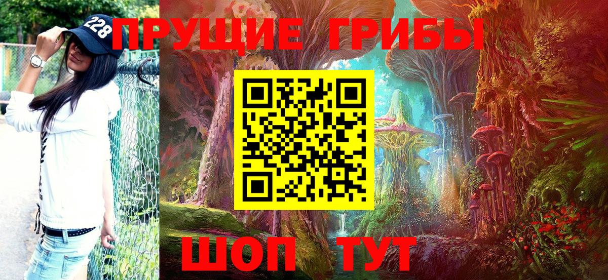 Новокузнецк  цены наркотик  Вход с VPN  Псилоцибиновые грибы мухоморы 